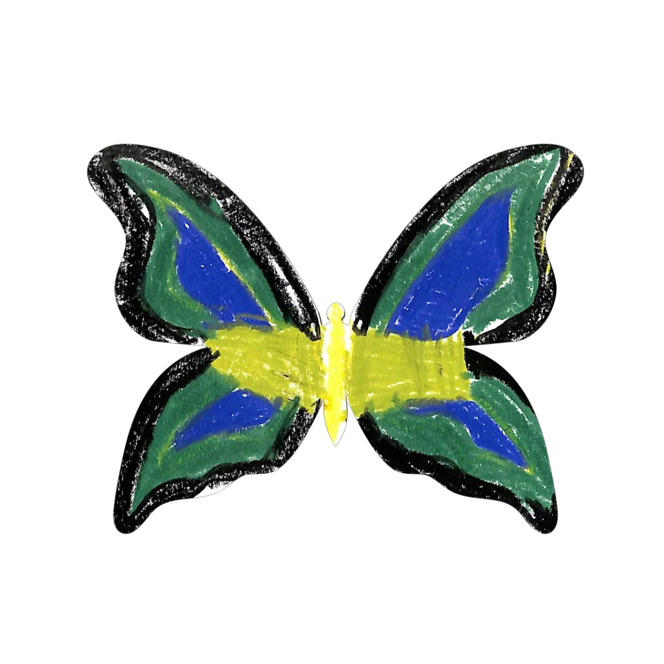 Original Butterfly Image