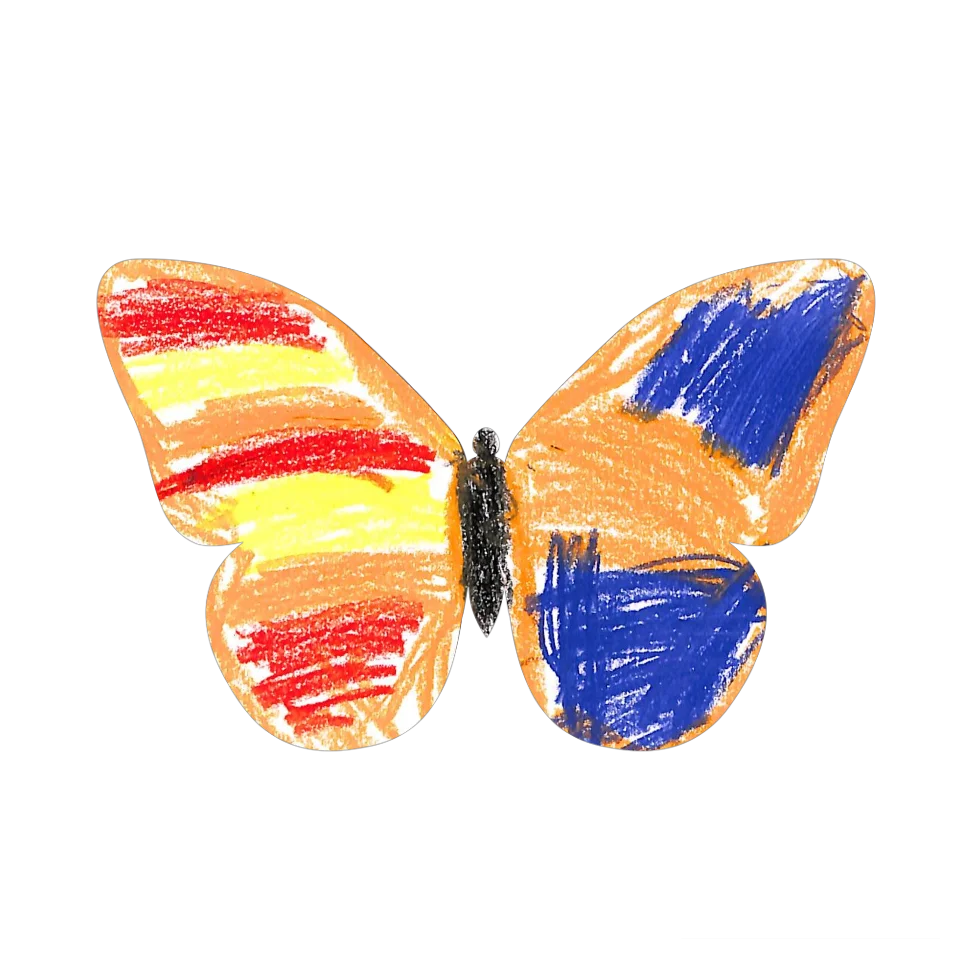 Original Butterfly Image