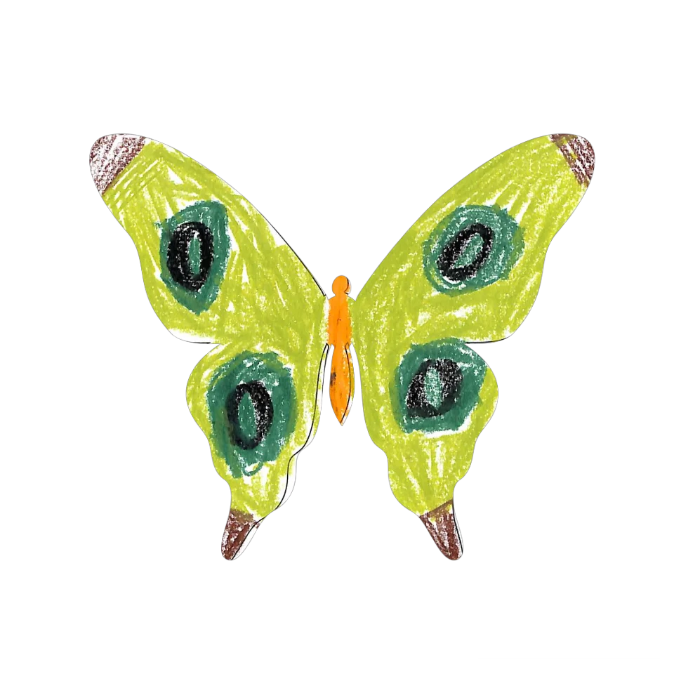 Original Butterfly Image