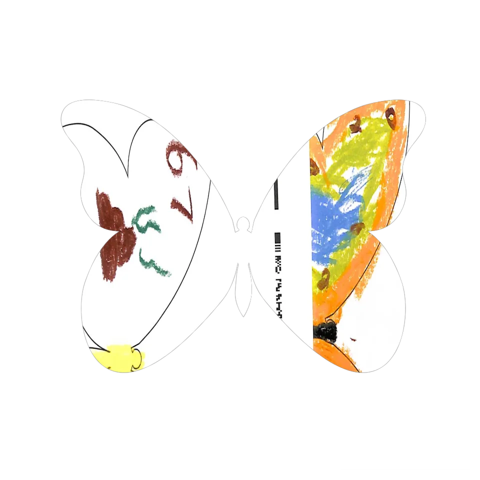 Original Butterfly Image