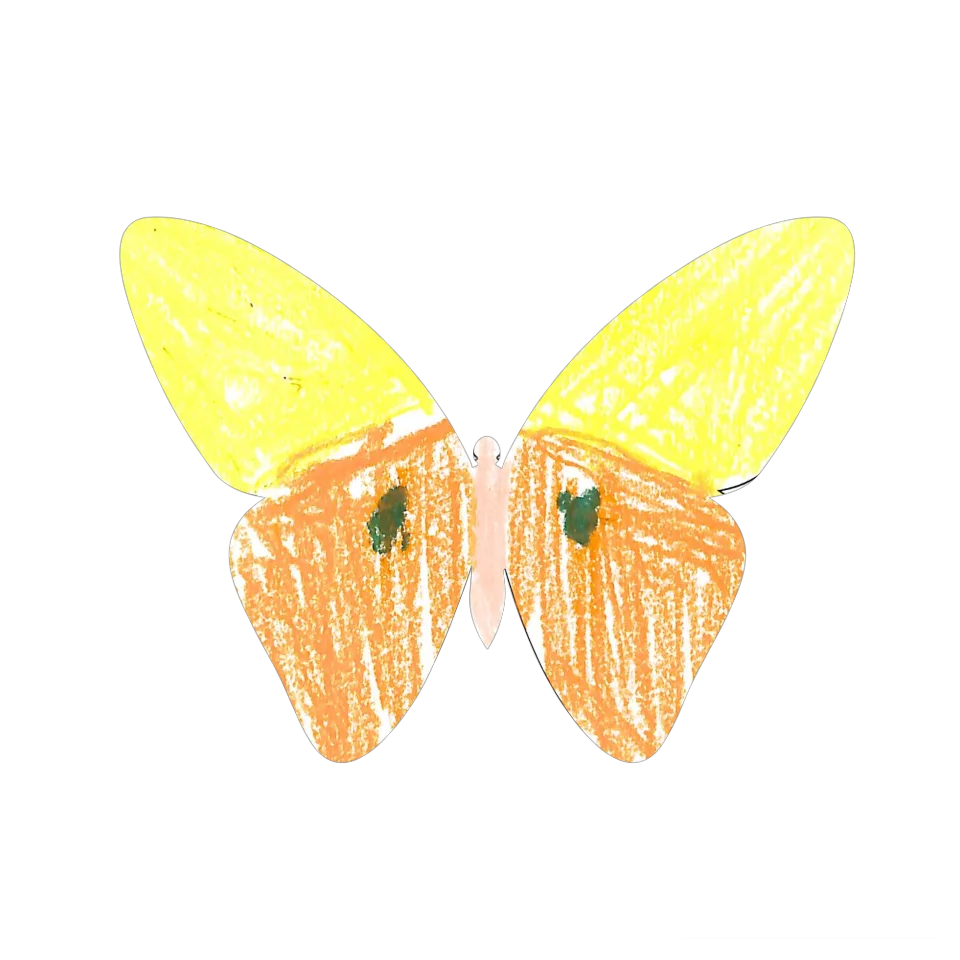 Original Butterfly Image