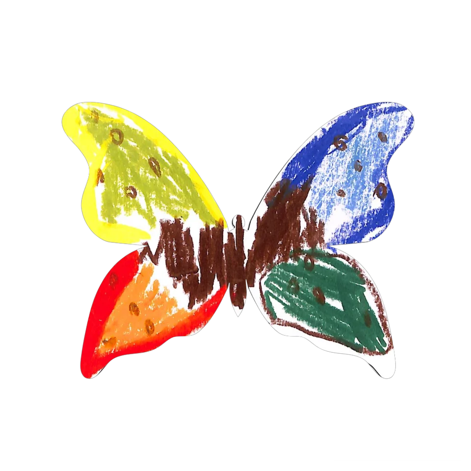 Original Butterfly Image