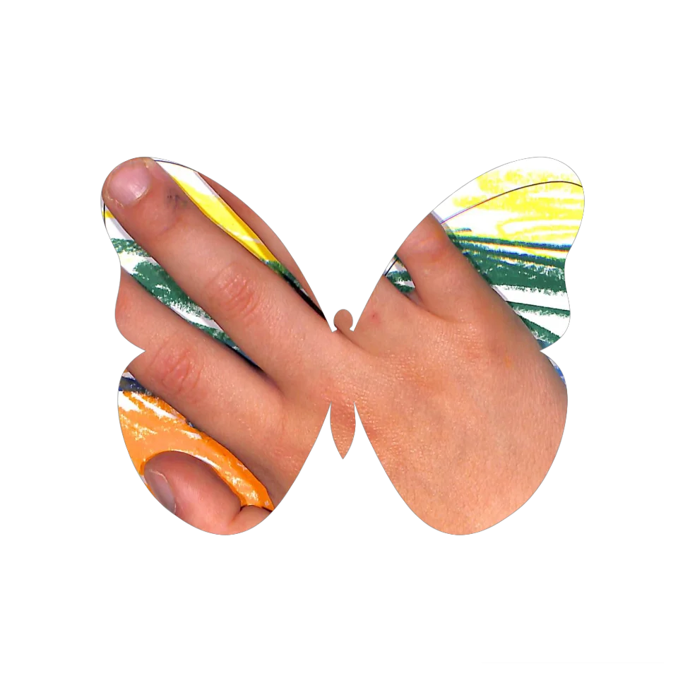 Original Butterfly Image