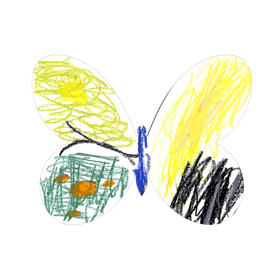 Original Butterfly Image