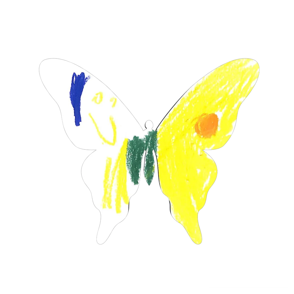 Original Butterfly Image