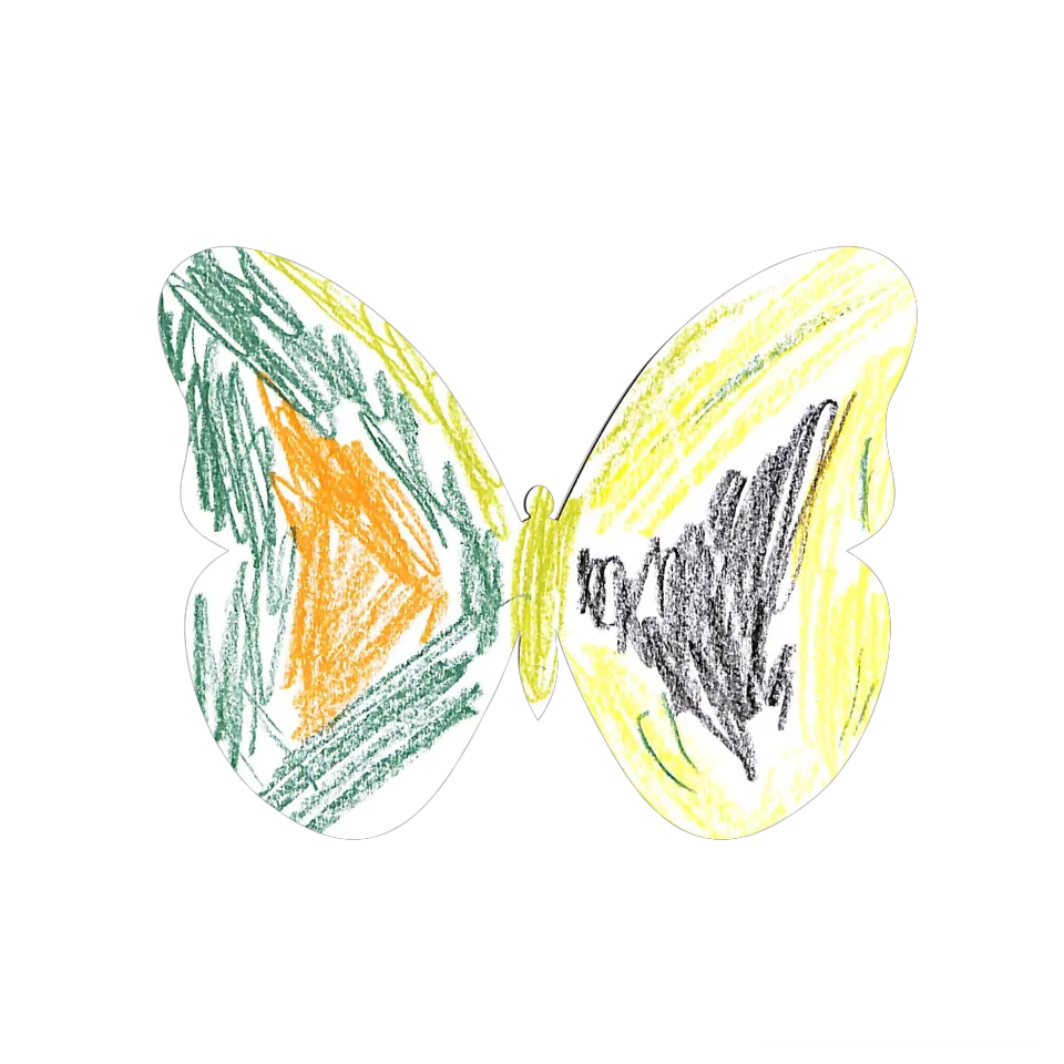 Original Butterfly Image