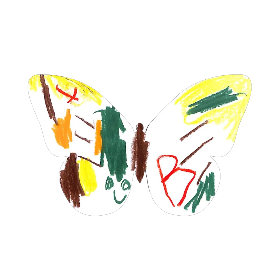 Original Butterfly Image