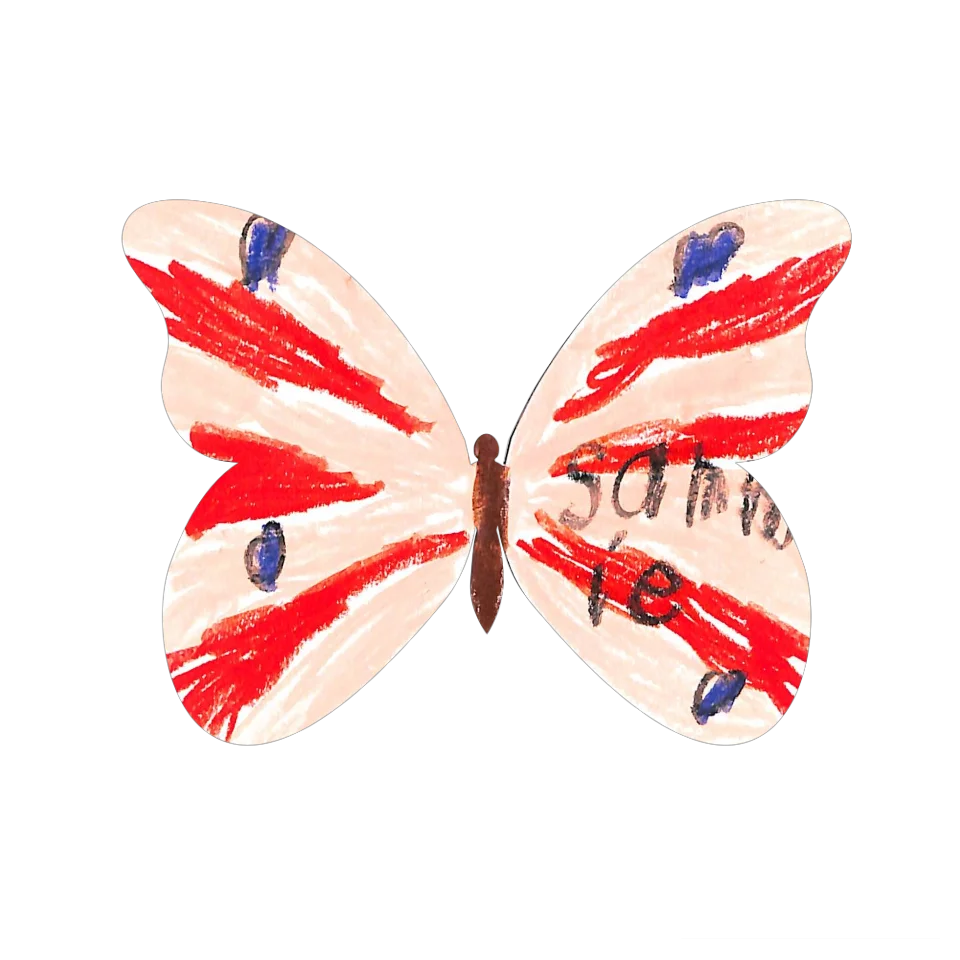 Original Butterfly Image