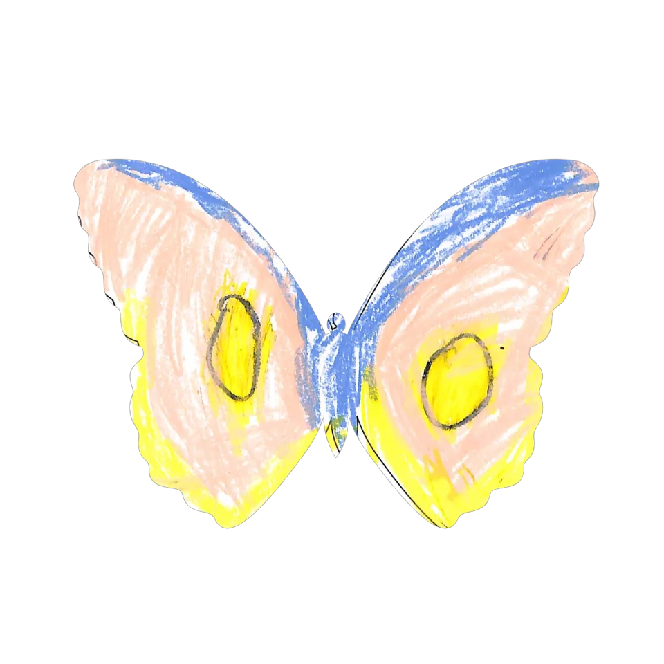 Original Butterfly Image