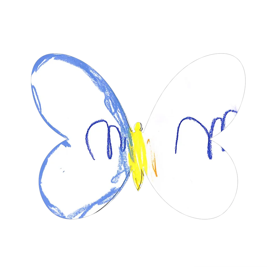 Original Butterfly Image