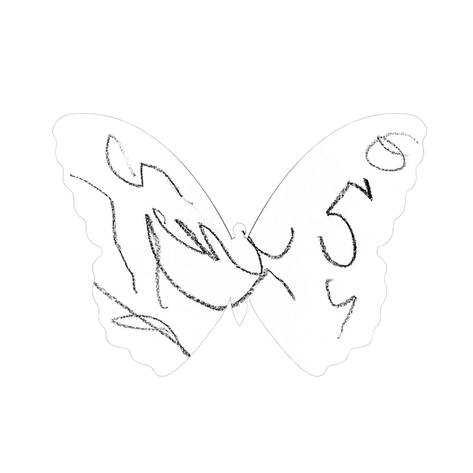 Original Butterfly Image