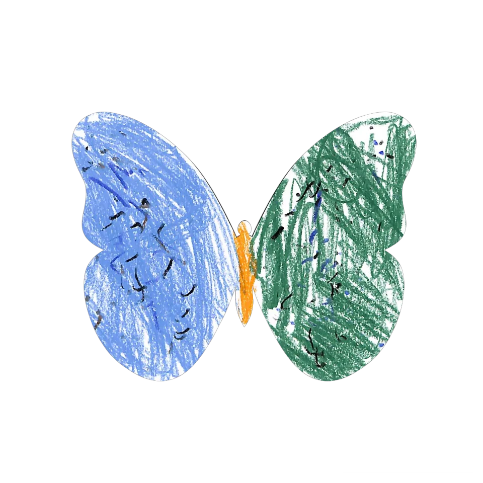 Original Butterfly Image