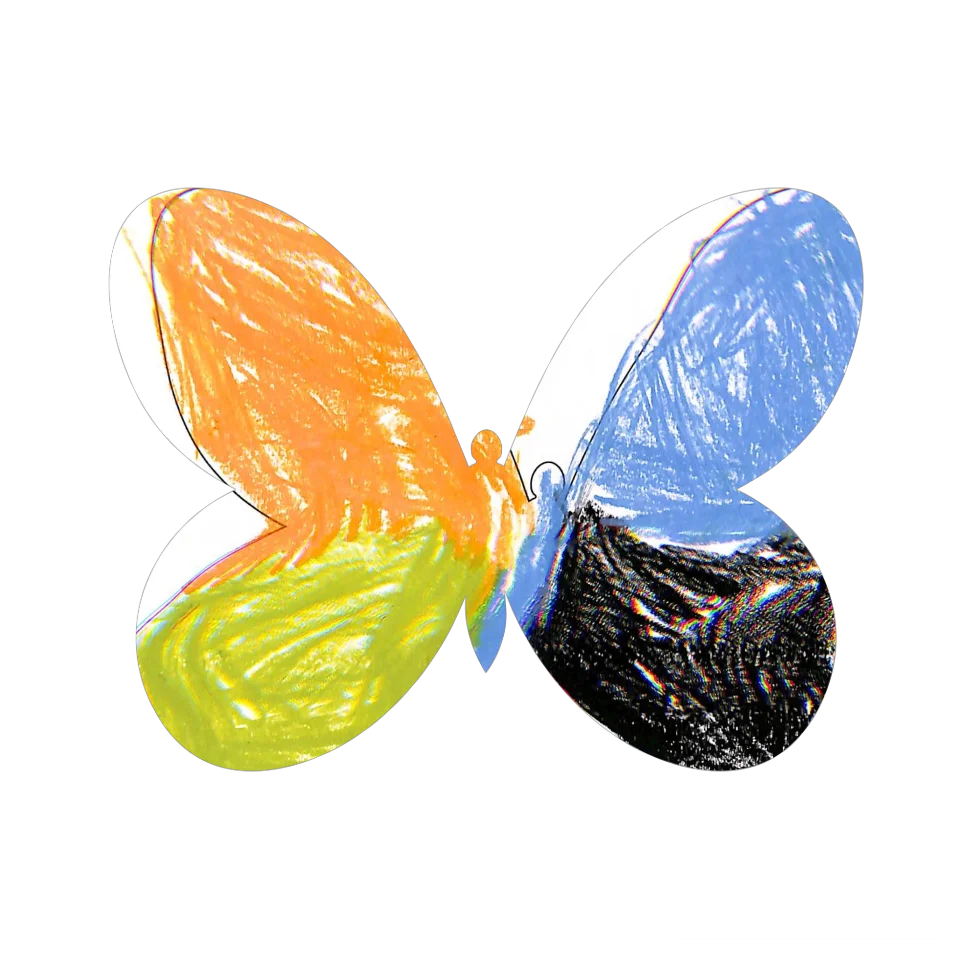 Original Butterfly Image