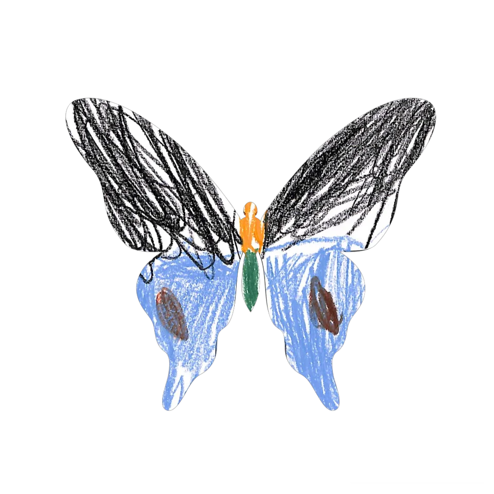 Original Butterfly Image