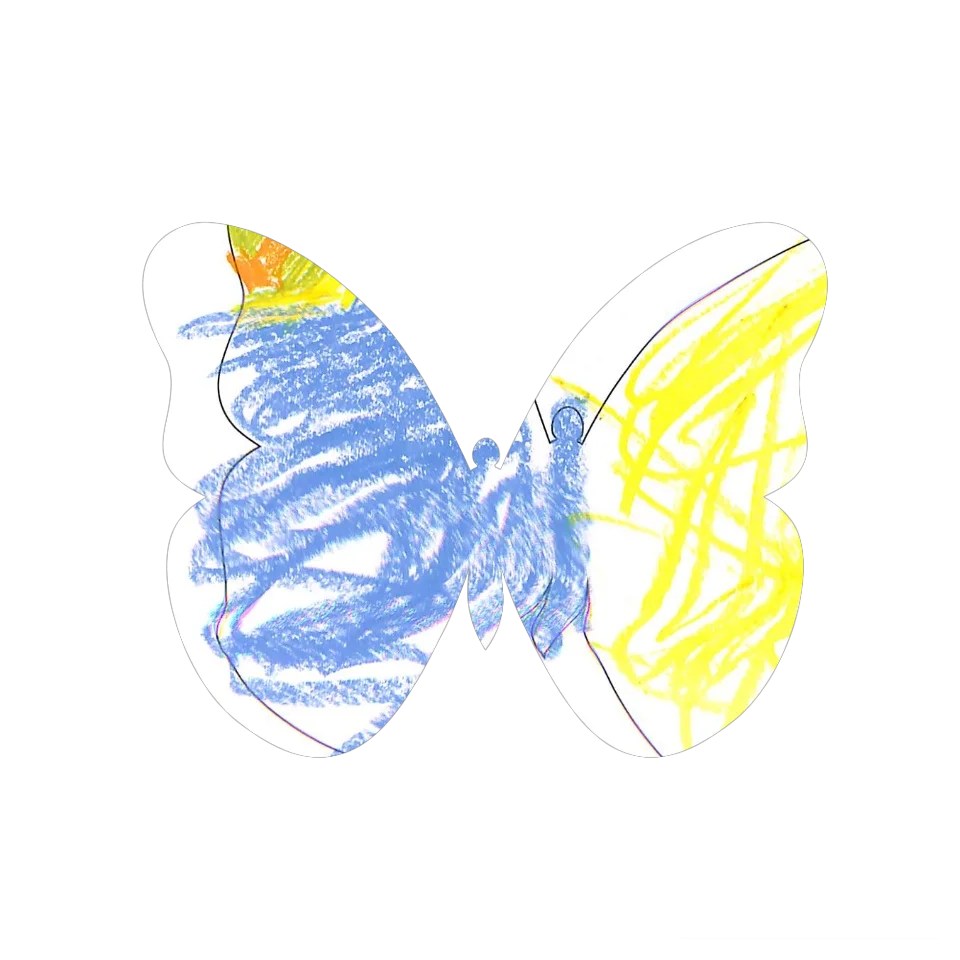 Original Butterfly Image