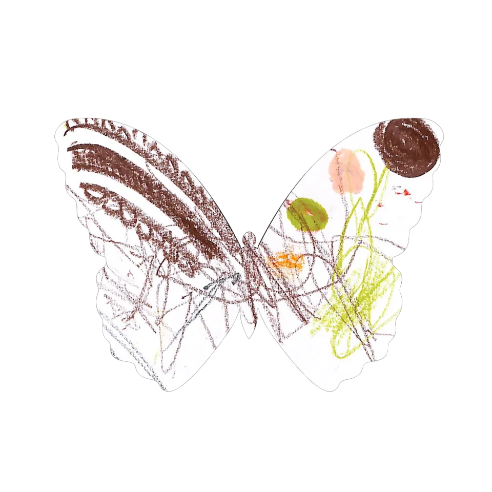 Original Butterfly Image
