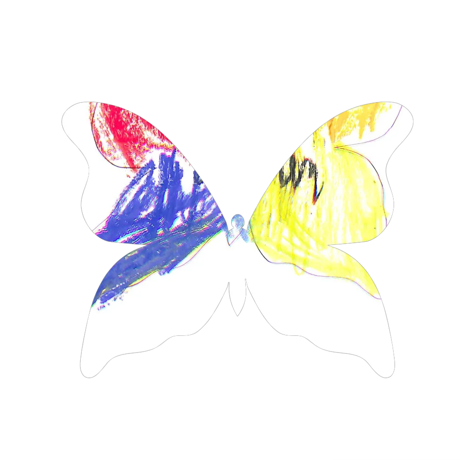 Original Butterfly Image
