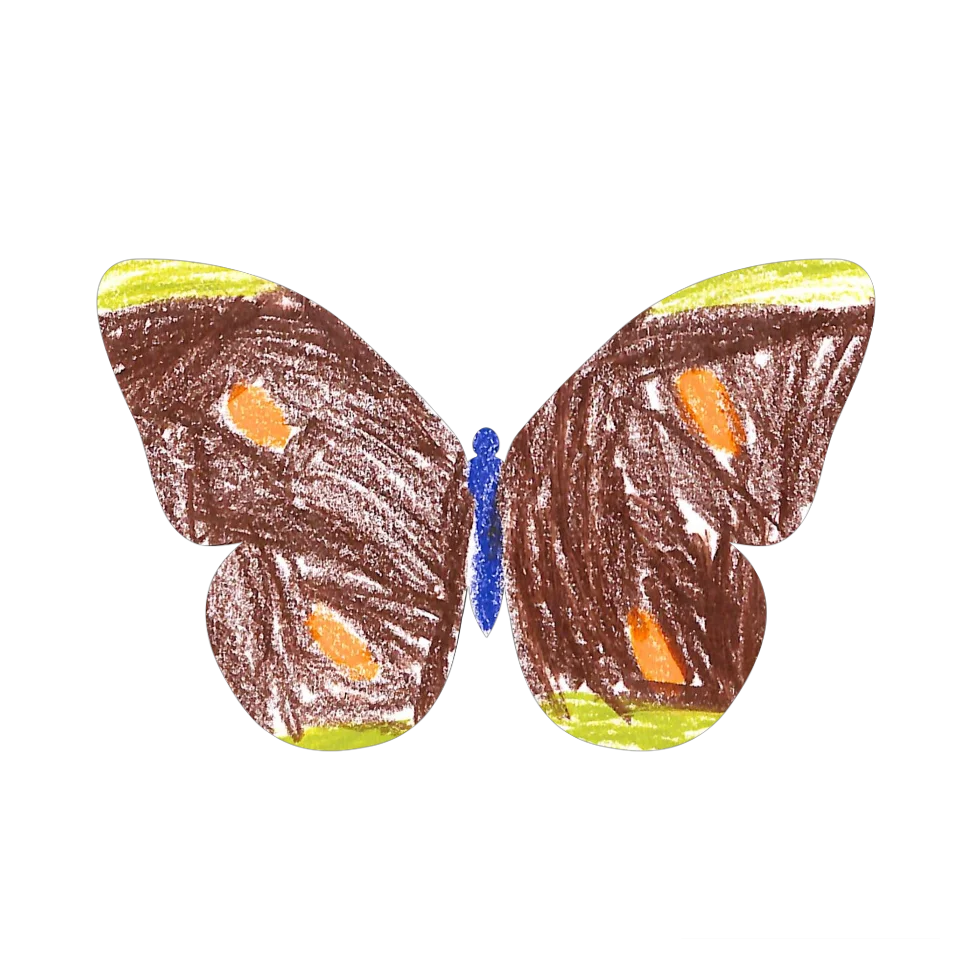 Original Butterfly Image