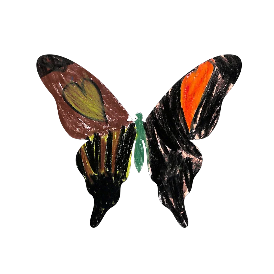 Original Butterfly Image