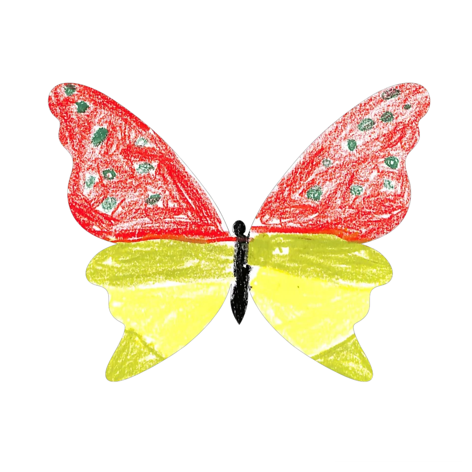 Original Butterfly Image