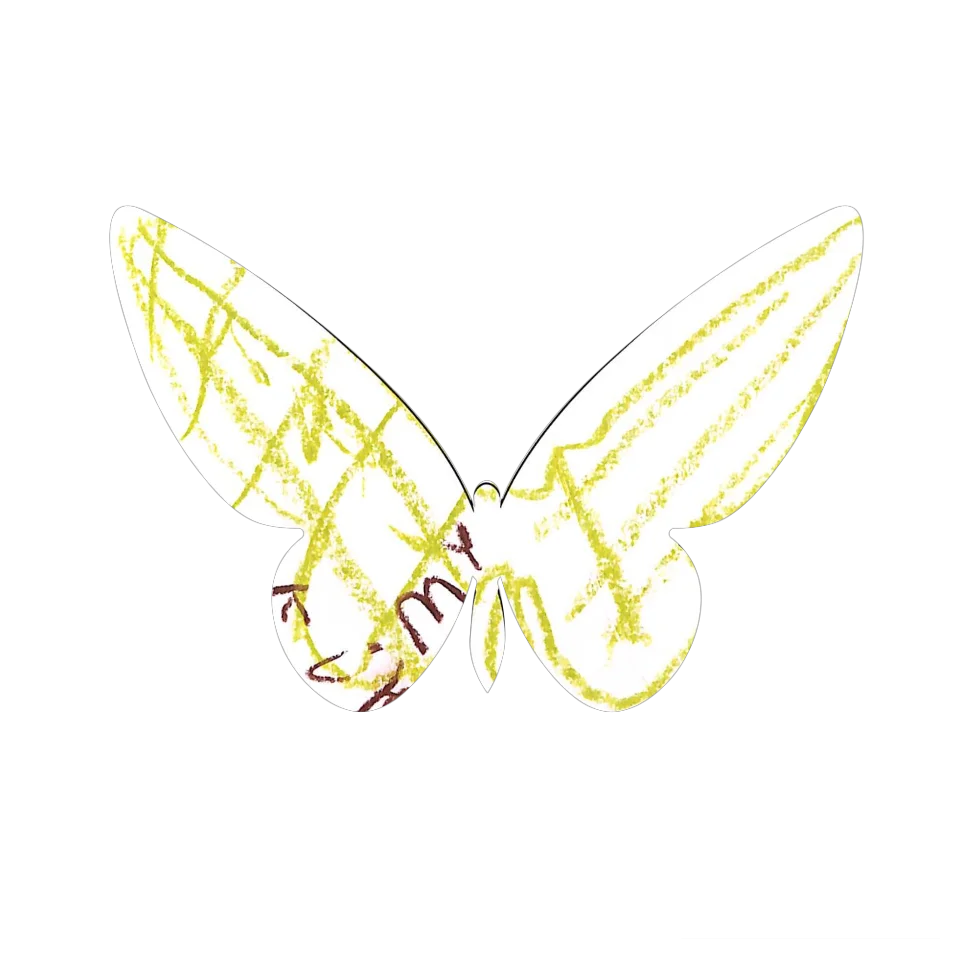 Original Butterfly Image