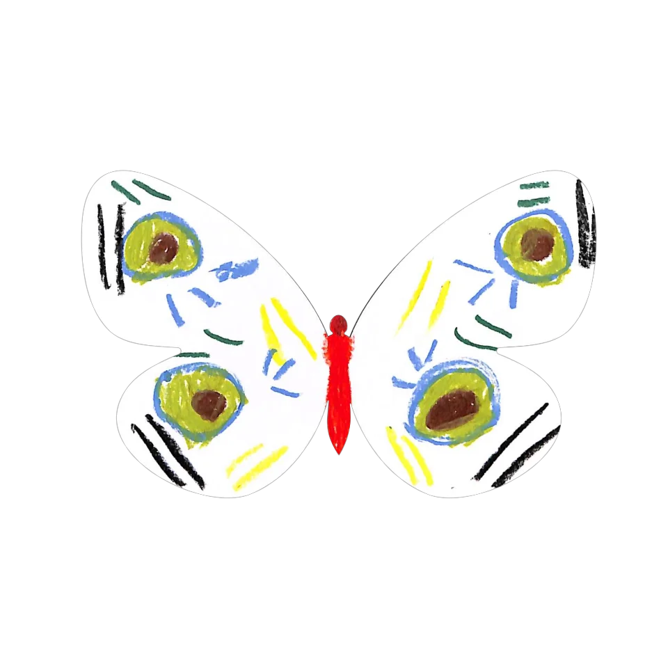 Original Butterfly Image