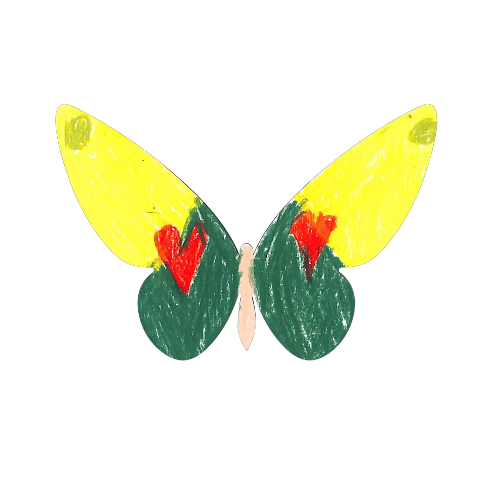 Original Butterfly Image