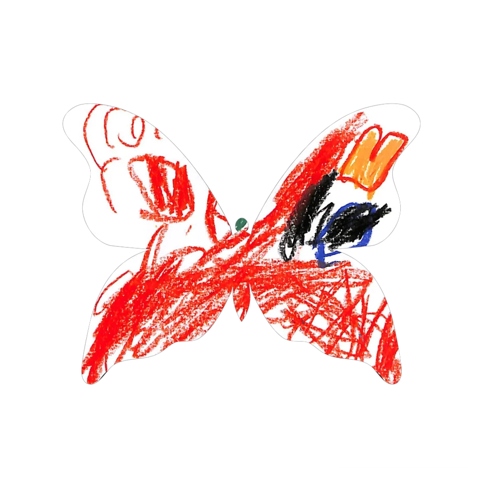 Original Butterfly Image