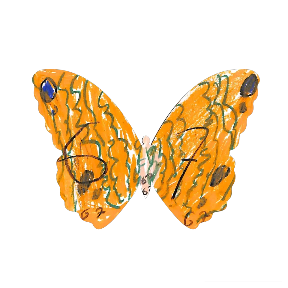 Original Butterfly Image