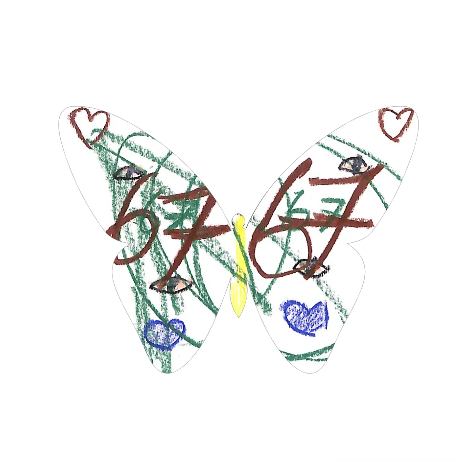 Original Butterfly Image