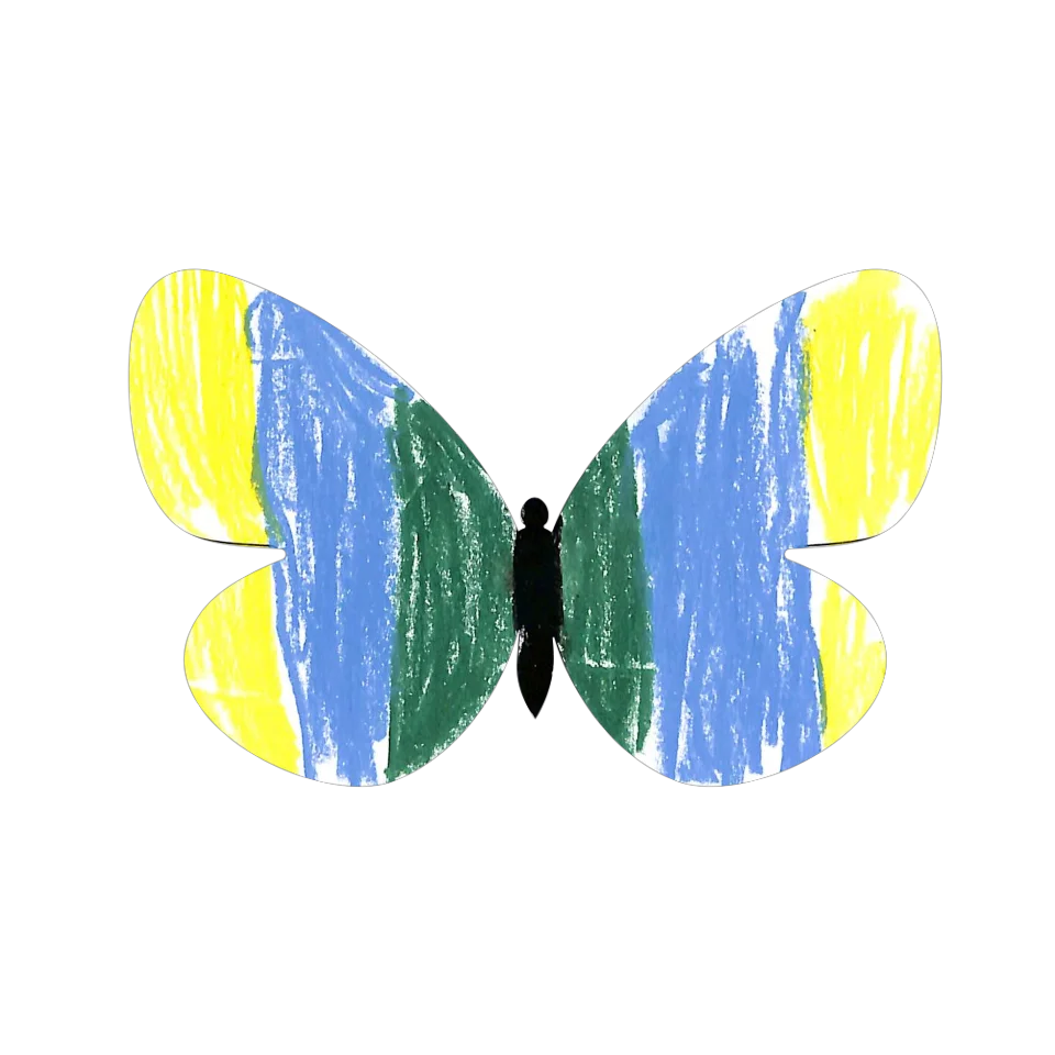 Original Butterfly Image