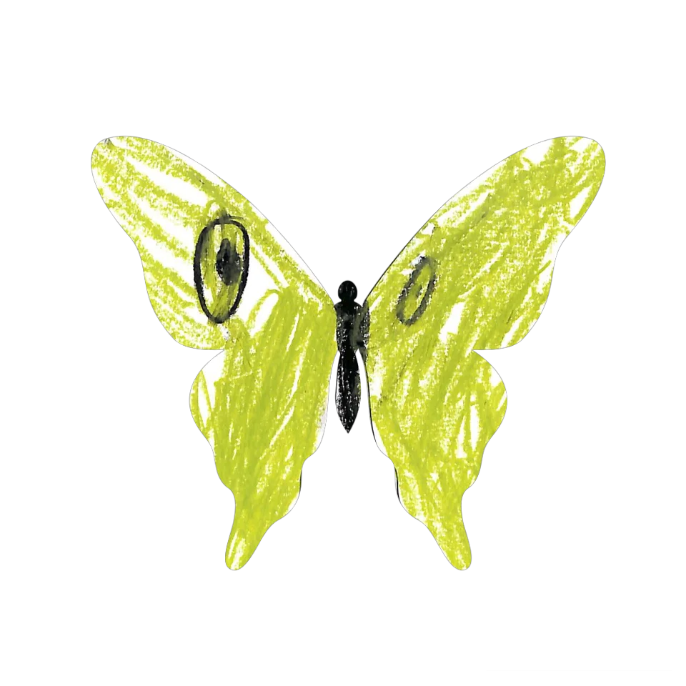 Original Butterfly Image