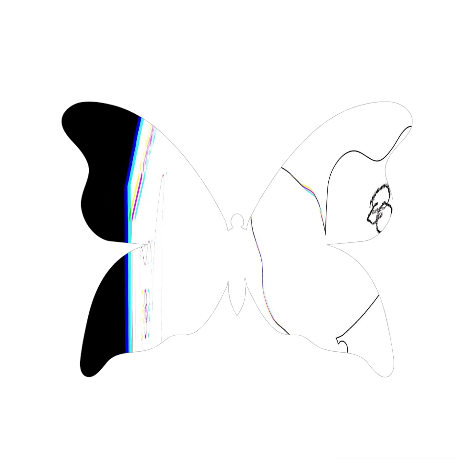 Original Butterfly Image