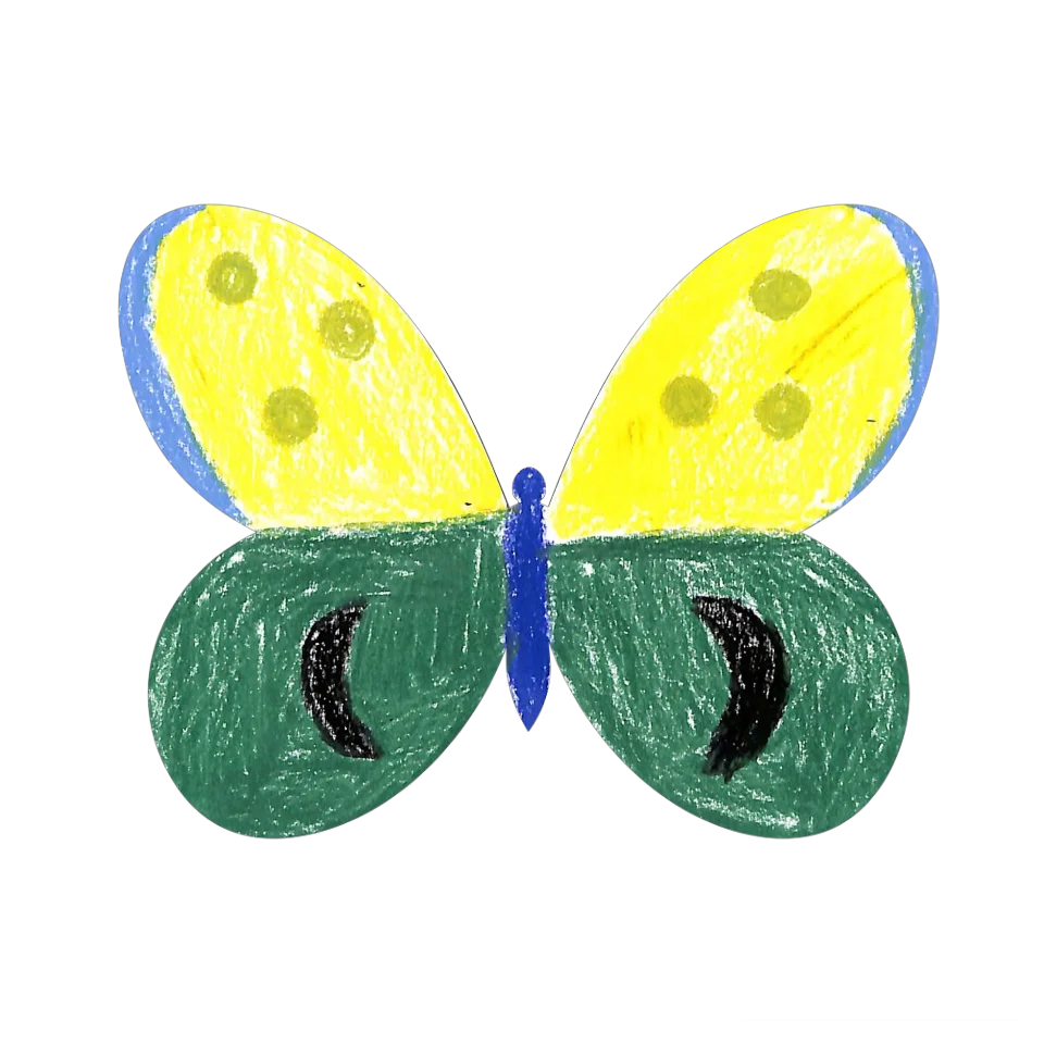 Original Butterfly Image