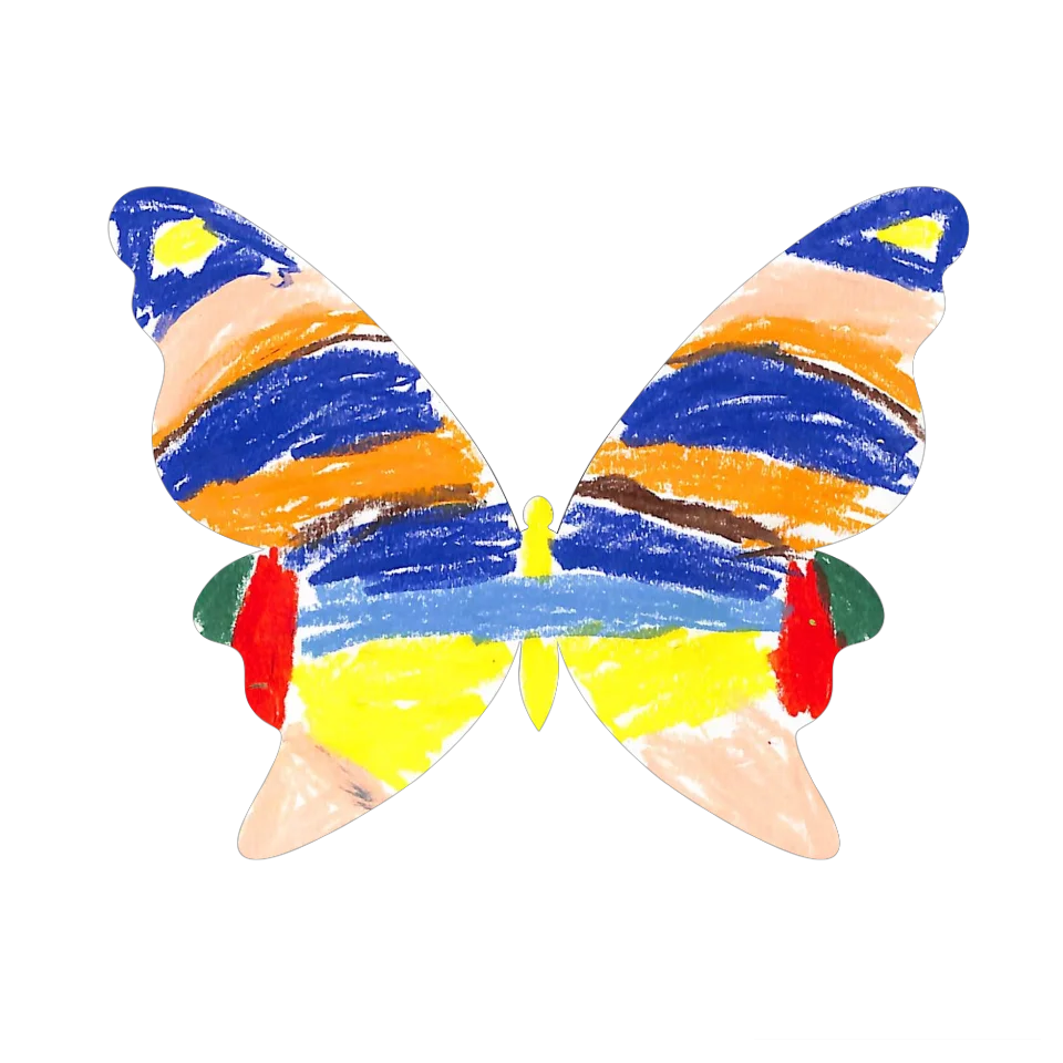 Original Butterfly Image