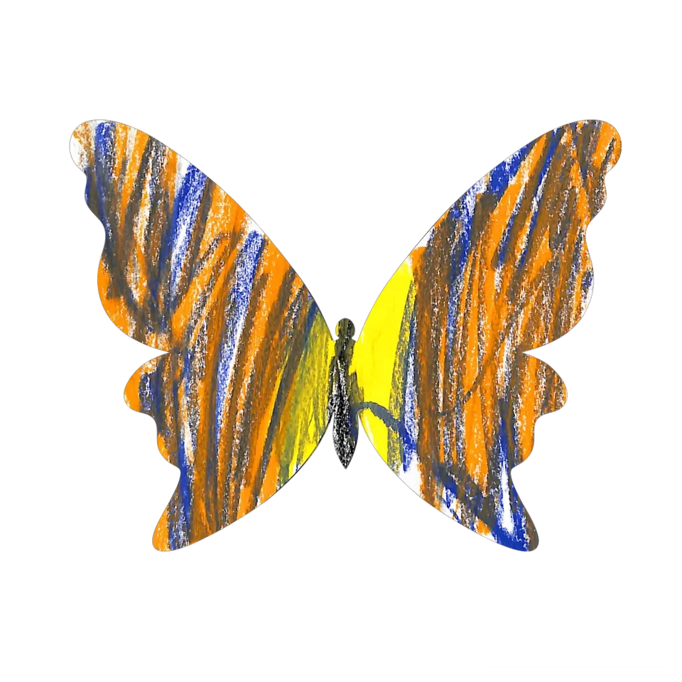 Original Butterfly Image
