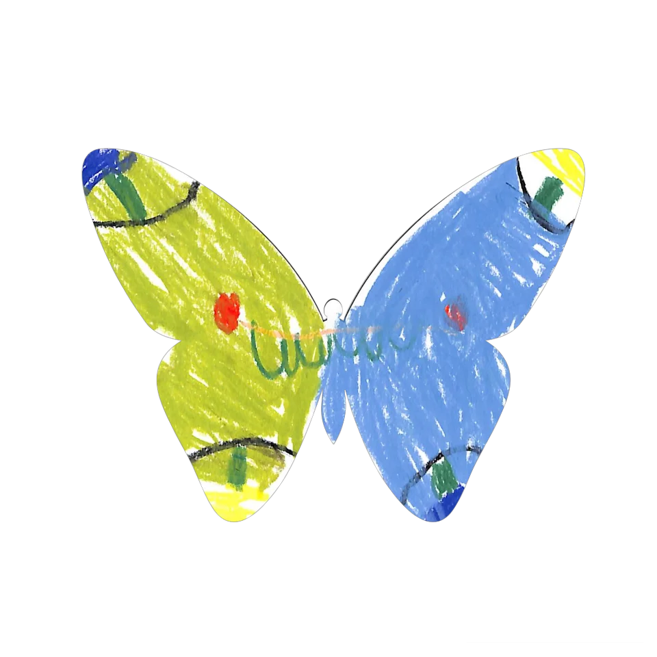 Original Butterfly Image