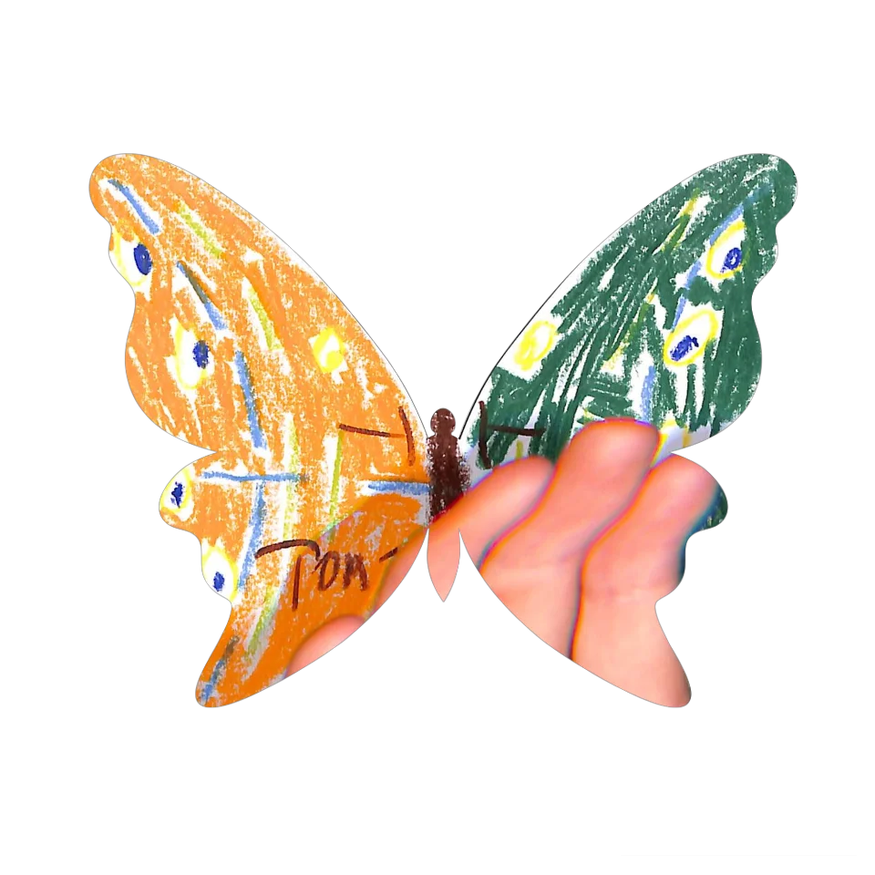 Original Butterfly Image