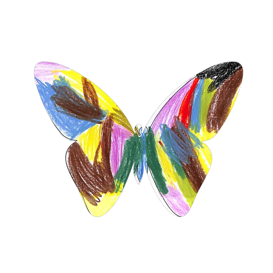 Original Butterfly Image