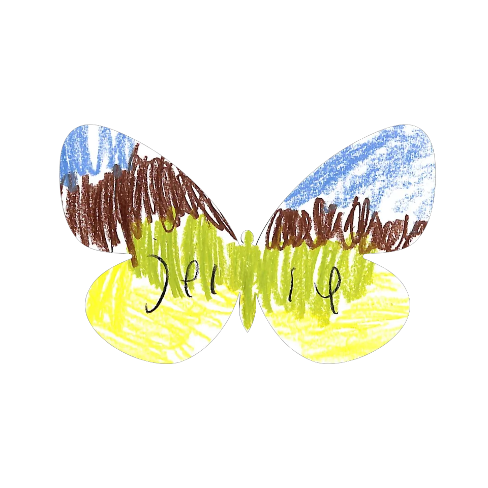 Original Butterfly Image