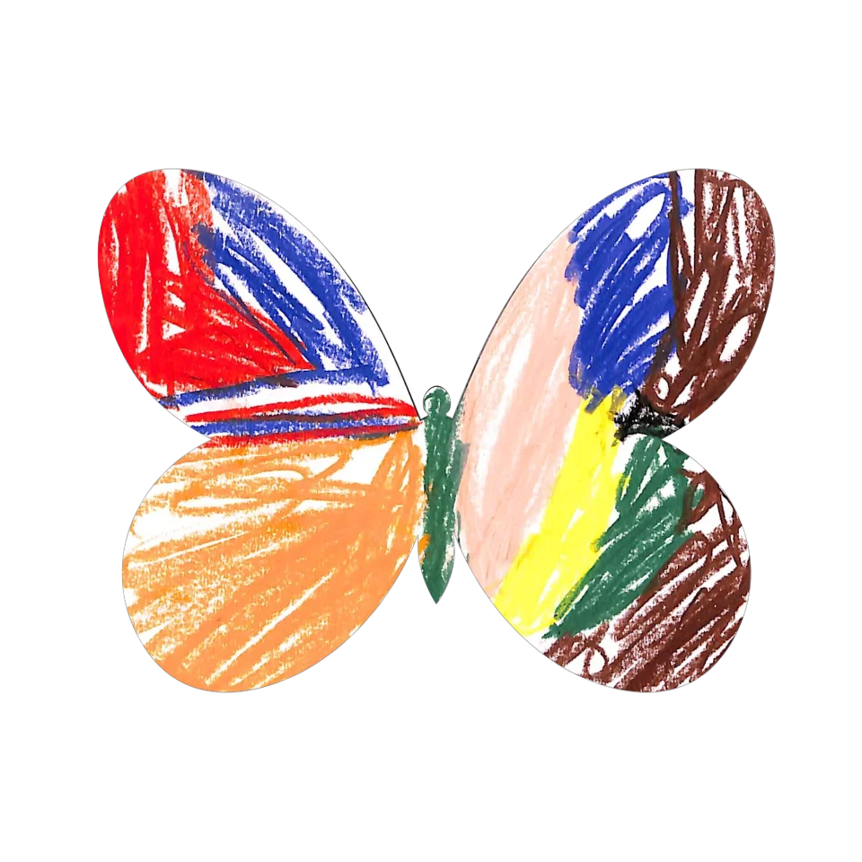 Original Butterfly Image