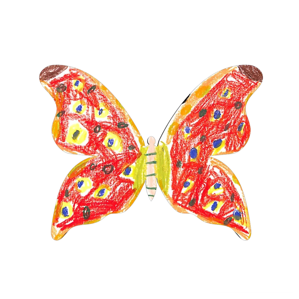 Original Butterfly Image
