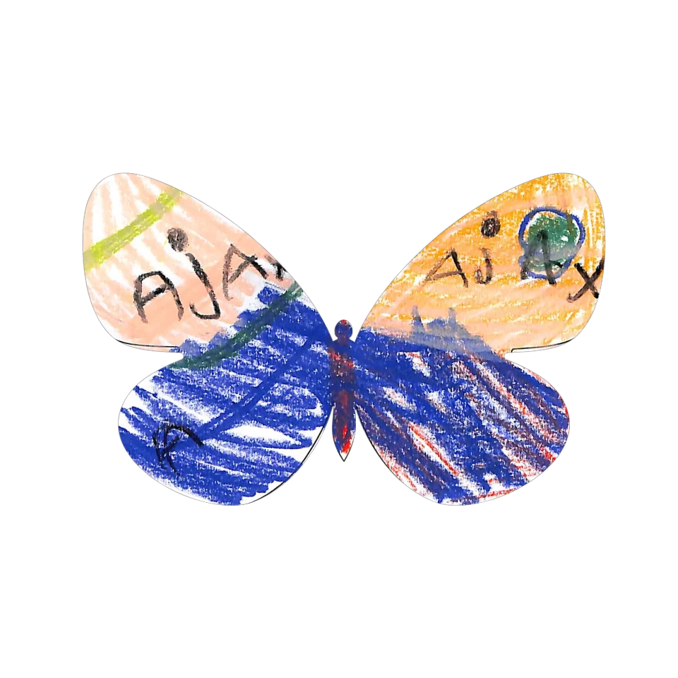 Original Butterfly Image
