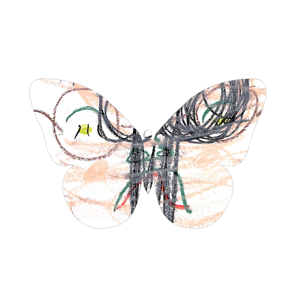Original Butterfly Image