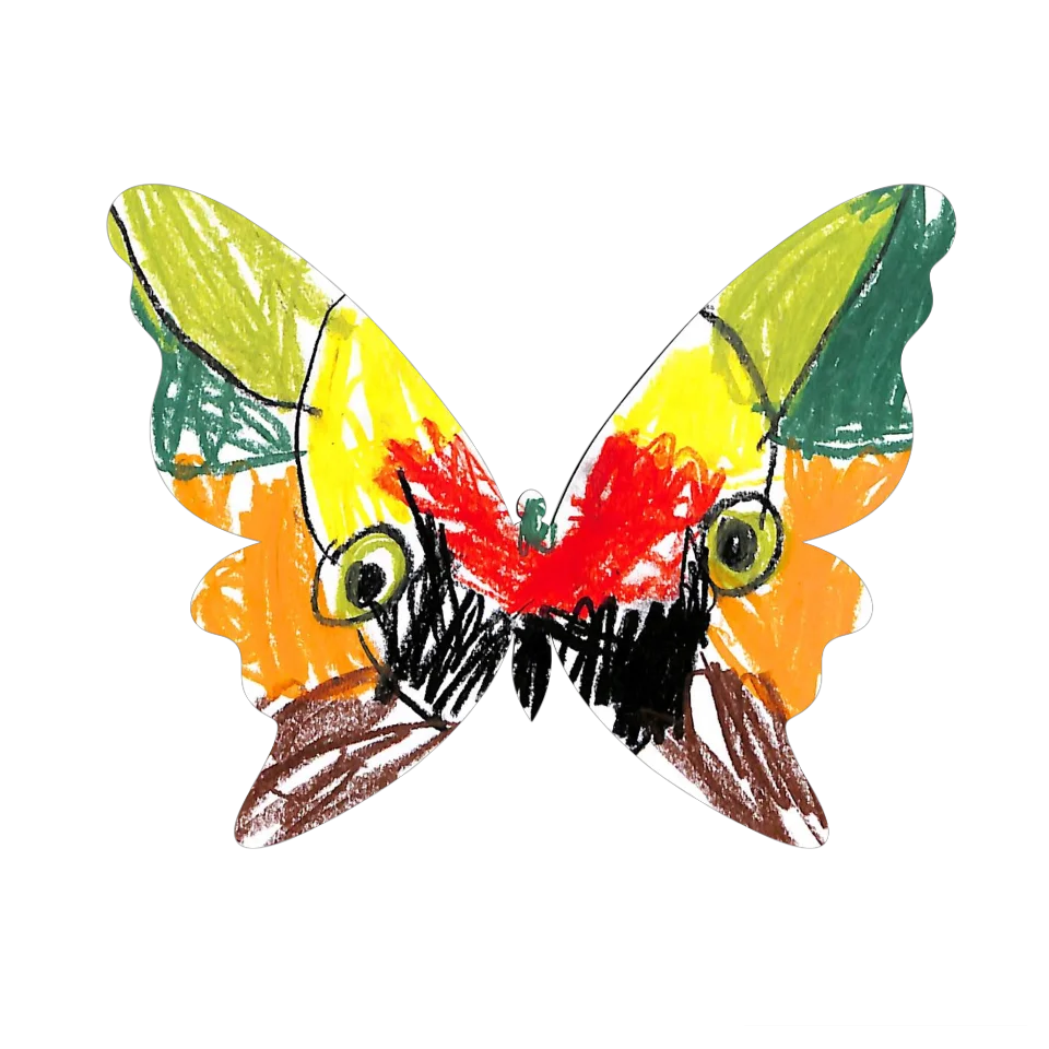 Original Butterfly Image