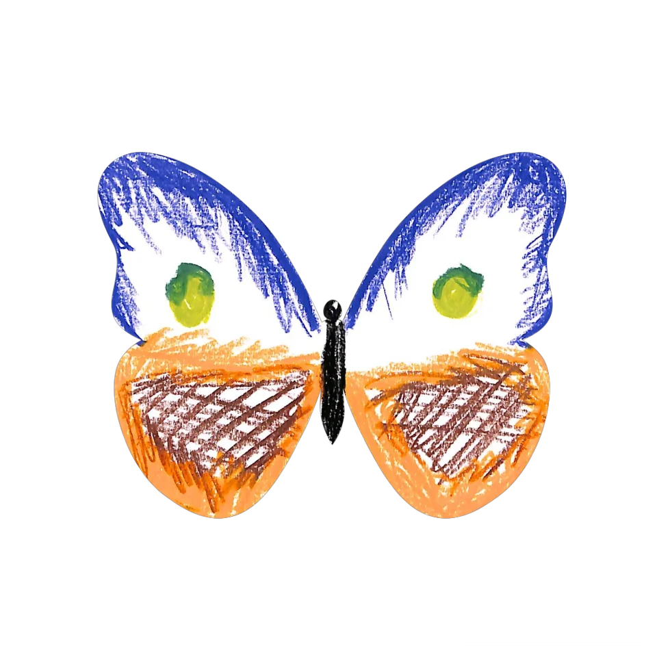 Original Butterfly Image