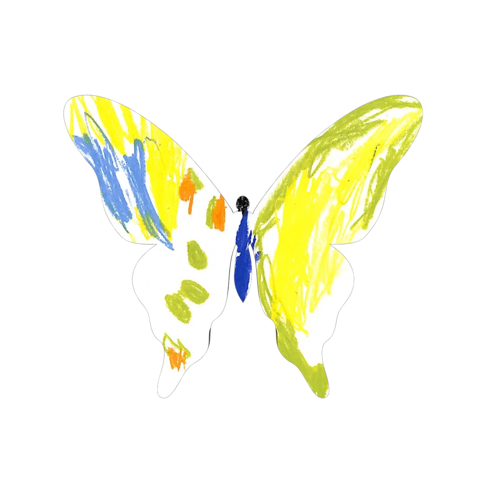 Original Butterfly Image