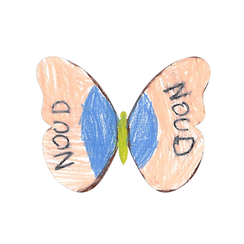 Original Butterfly Image