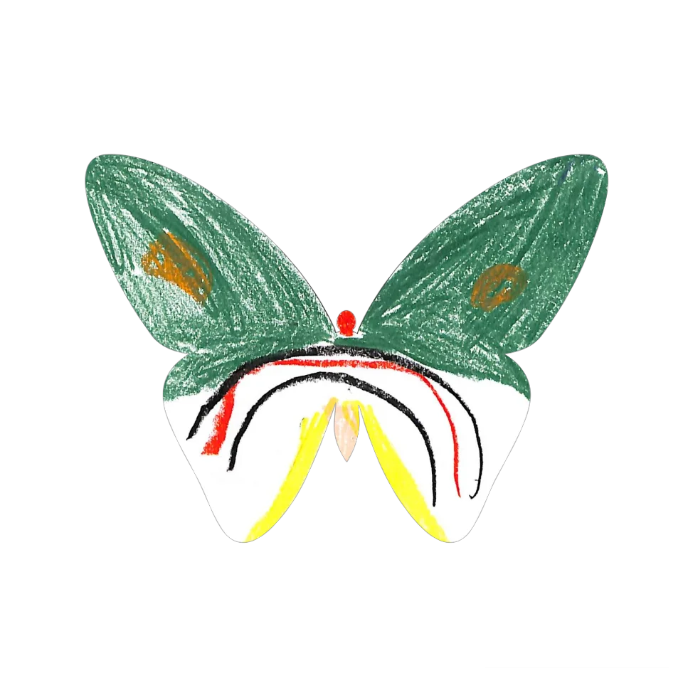 Original Butterfly Image