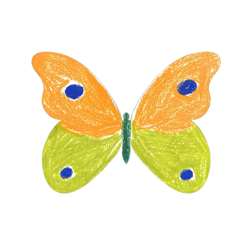Original Butterfly Image